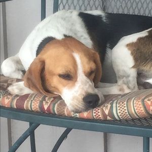 Meet your Posher, Debra